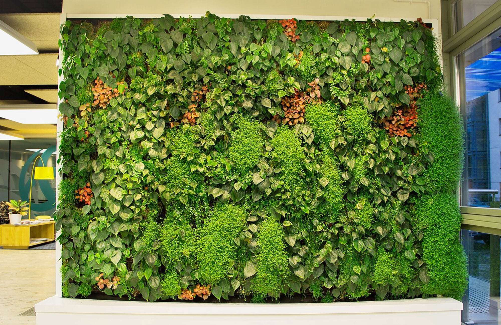 Green walls in Dubai Best Green wall suppliers in dubai 1